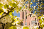 Spring blossoms on the Emmanuel College campus.